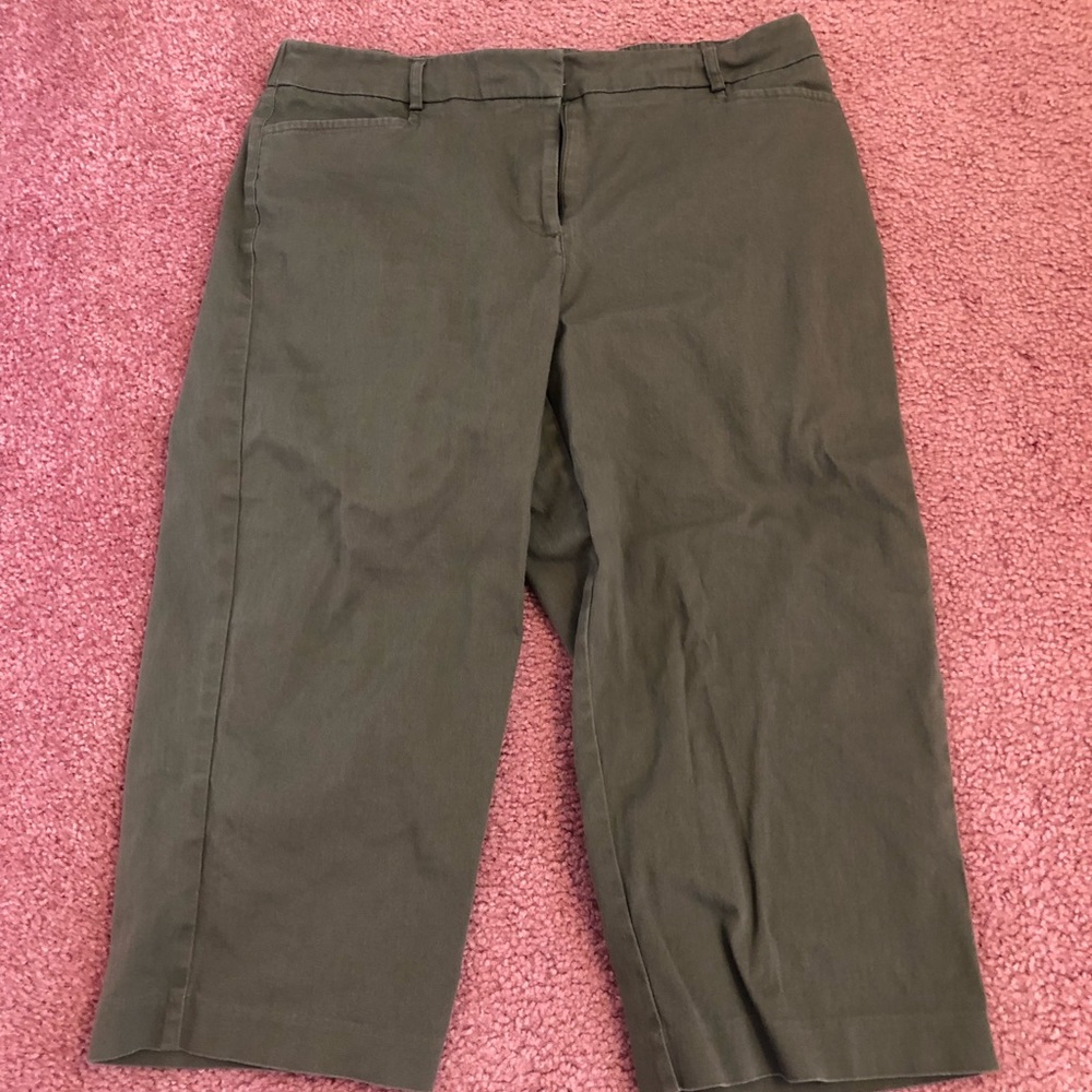 Briggs New York size 12P Capris, green stretchy
